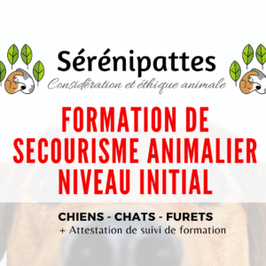 Formation de Secourisme Animalier Chiens, Chats et Furets – Niveau 1
